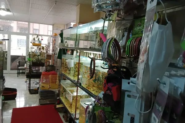 ELAPETSHOP-KONYA - Resim 11