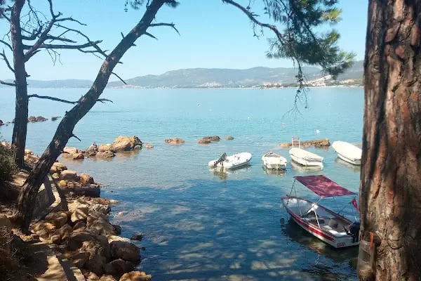 Kalemlik Orman Kampı - Resim 15