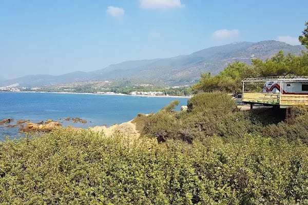 Kalemlik Orman Kampı - Resim 13