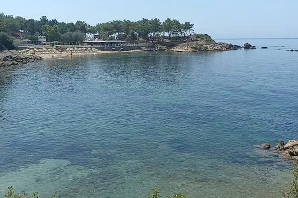 Kalemlik Orman Kampı - Resim 14