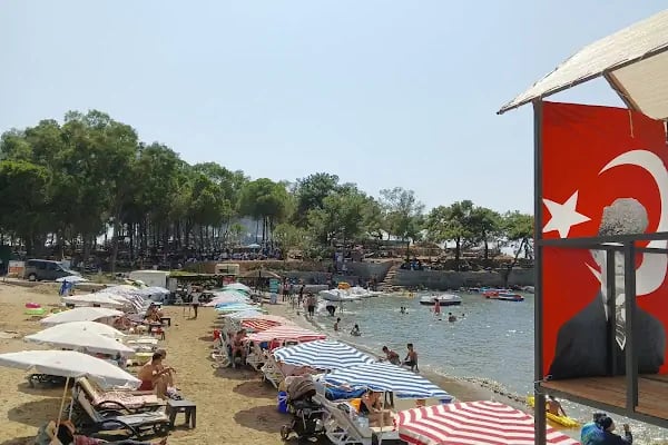 Kalemlik Orman Kampı - Resim 16