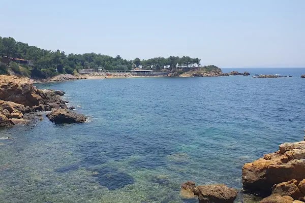 Kalemlik Orman Kampı - Resim 12