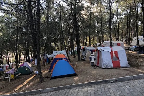 Kalemlik Orman Kampı - Resim 6