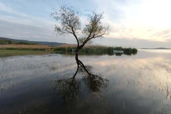 Akçalar Ulubat Gölü - Resim 15
