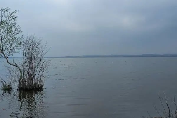 Akçalar Ulubat Gölü - Resim 14