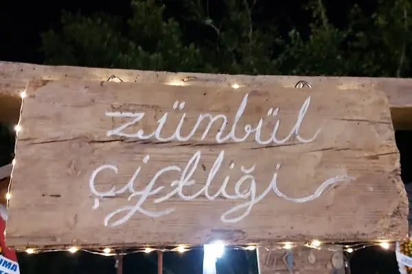 Zümbül çiftliği - Resim 20