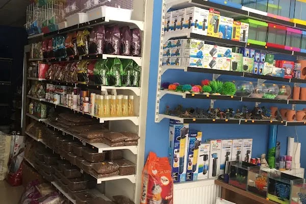Goldfish Petshop Akvaryum - Resim 3