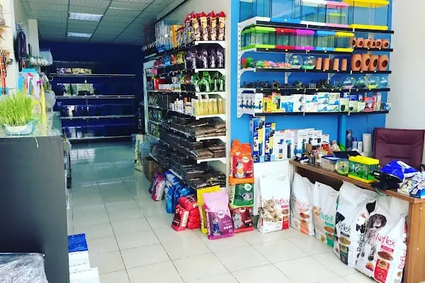 Goldfish Petshop Akvaryum - Resim 9