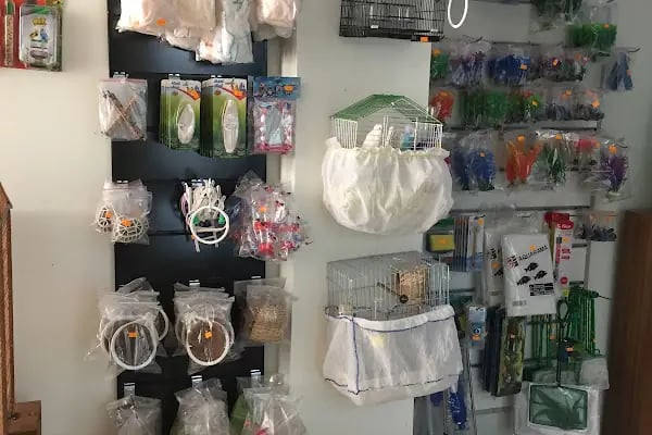 Goldfish Petshop Akvaryum - Resim 7