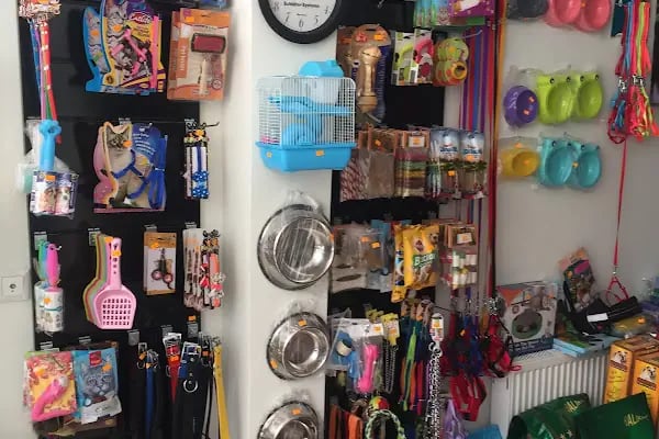 Goldfish Petshop Akvaryum - Resim 8