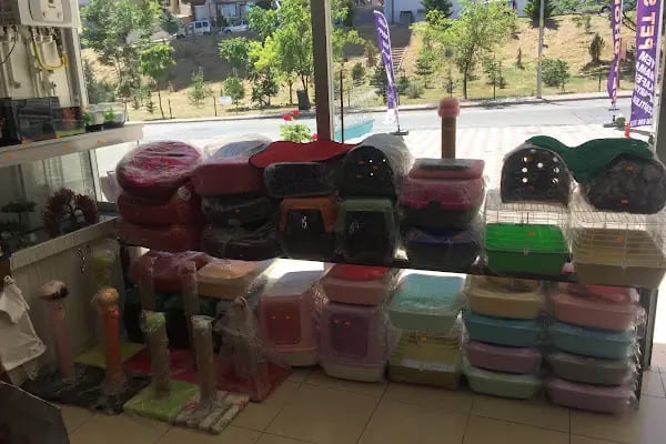 Goldfish Petshop Akvaryum - Resim 17