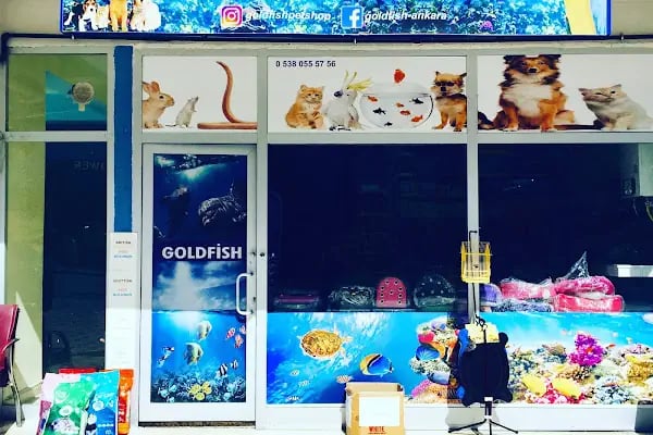 Goldfish Petshop Akvaryum - Resim 19