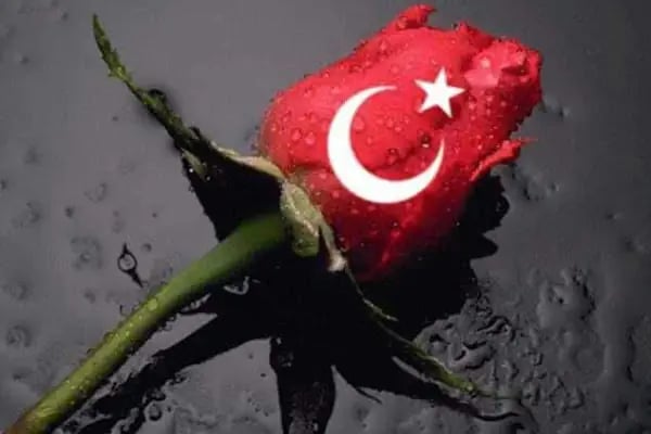 Halk lokantası - Resim 10