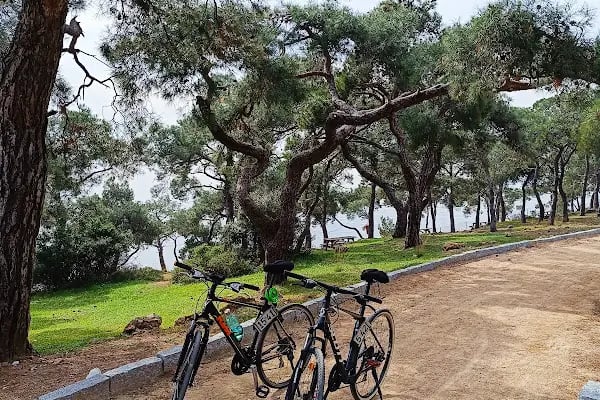 Adalar Bisiklet Büyükada - Resim 3