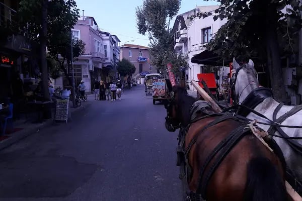 Adalar Bisiklet Büyükada - Resim 18