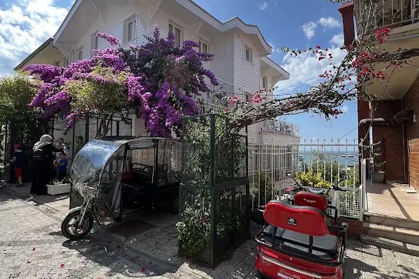 Adalar Bisiklet Büyükada - Resim 11