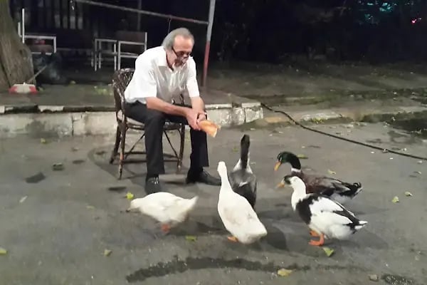 İçerenköy Spor Tesisi İnşaatı - Resim 9