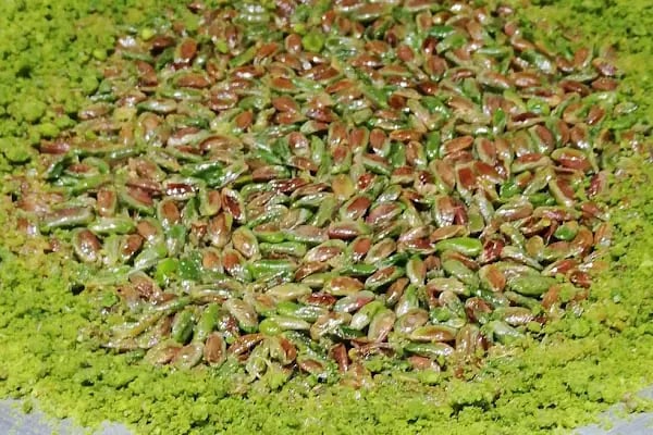 Levent Börek Ataşehir - Resim 12