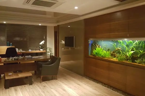 Can Akvaryum Pet Store Pet Kuaför Alo Mama Hattı - Resim 13