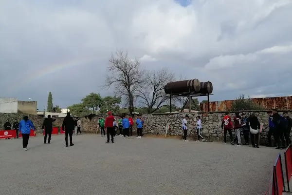 Aras Kargo Mesir Şubesi - Resim 2