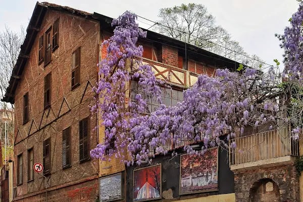 Romangal ipek fabrikası - Resim 3