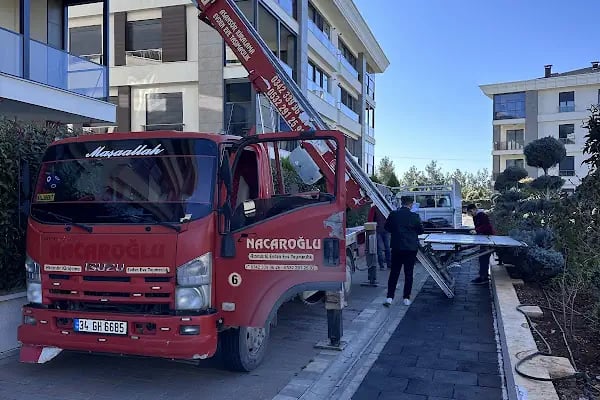 Nacaroğlu Asansörlü Evden Eve Taşımacılık - Resim 15