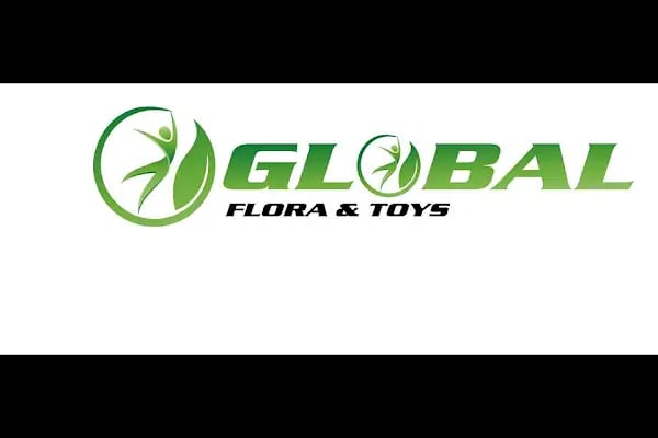 GLOBAL TOYS - Resim 14