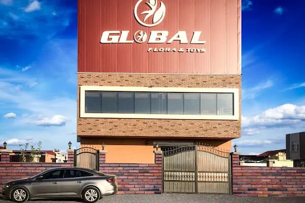 GLOBAL TOYS - Resim 18