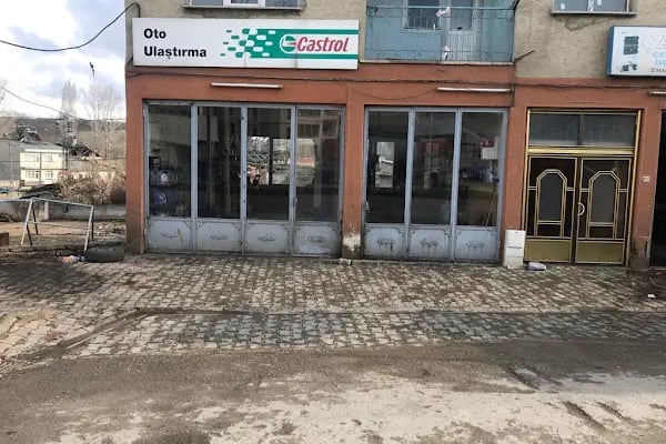 Oto ulaştırma (Aşkale Oto Kurtarma Aşkale Oto Çekici Aşkale Yol Yardım) - Resim 3