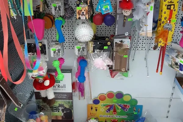 Park Petshop - Resim 11