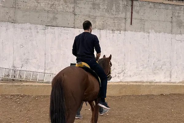 Birlik Atlı Spor Klubu - Resim 9