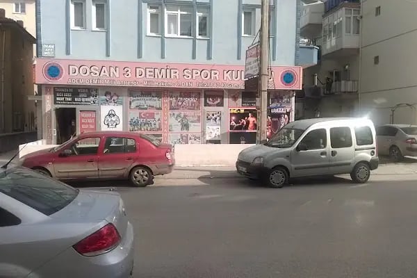 DOSAN 3 DEMİR SPOR KULÜBÜ - Resim 20