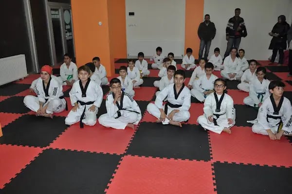 DOSAN 3 DEMİR SPOR KULÜBÜ - Resim 13