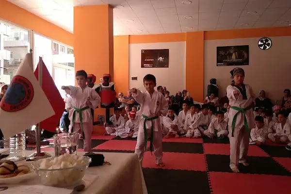 DOSAN 3 DEMİR SPOR KULÜBÜ - Resim 12