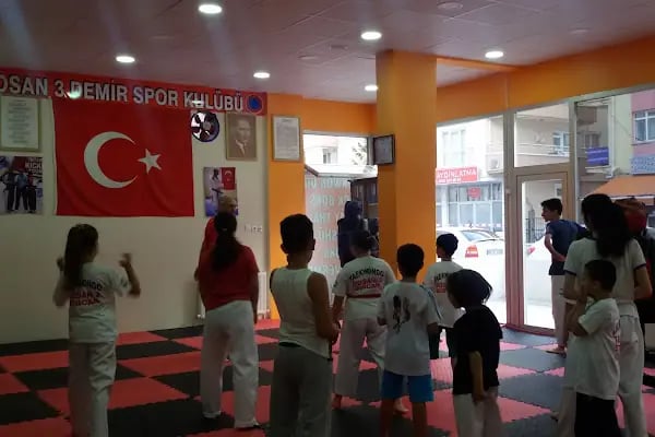 DOSAN 3 DEMİR SPOR KULÜBÜ - Resim 9