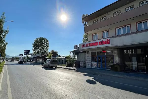 GÜL VETERİNER KLİNİĞİ - Resim 5
