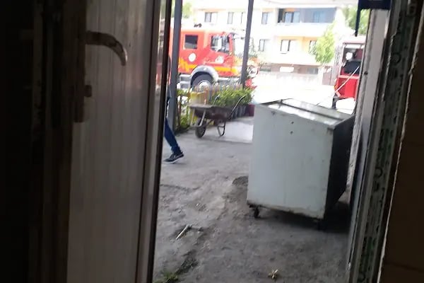GÜL VETERİNER KLİNİĞİ - Resim 15