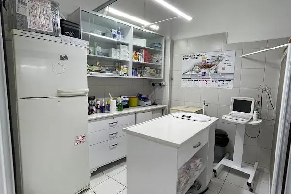GÜL VETERİNER KLİNİĞİ - Resim 20