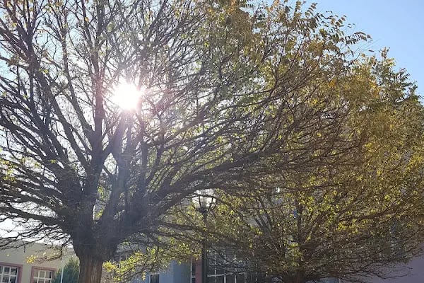 Dokuz Eylül Üniversitesi Mimarlık Fakültesi - Resim 14