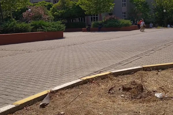 Dokuz Eylül Üniversitesi Mimarlık Fakültesi - Resim 3