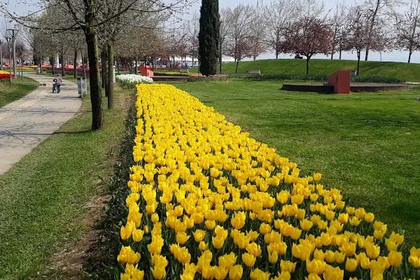Seka Park - Resim 13