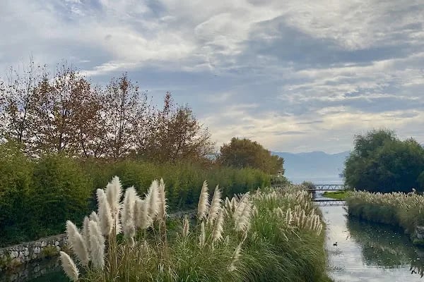 Seka Park - Resim 19
