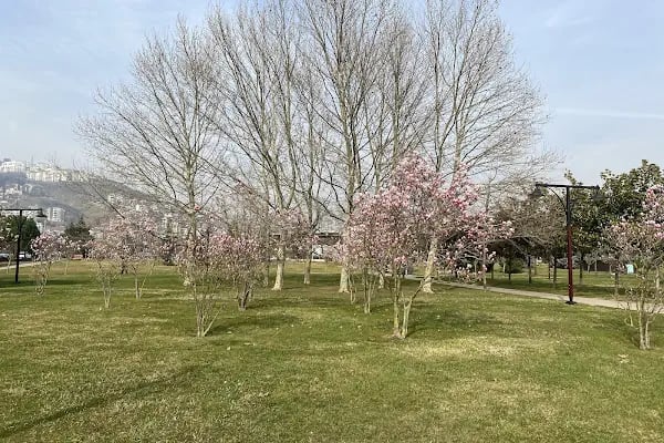 Seka Park - Resim 10