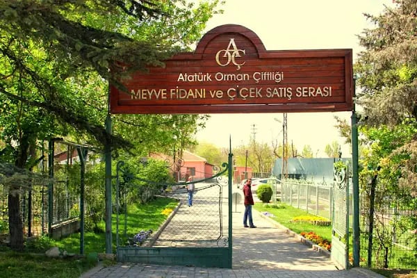 Atatürk Orman Çiftliği - Resim 8