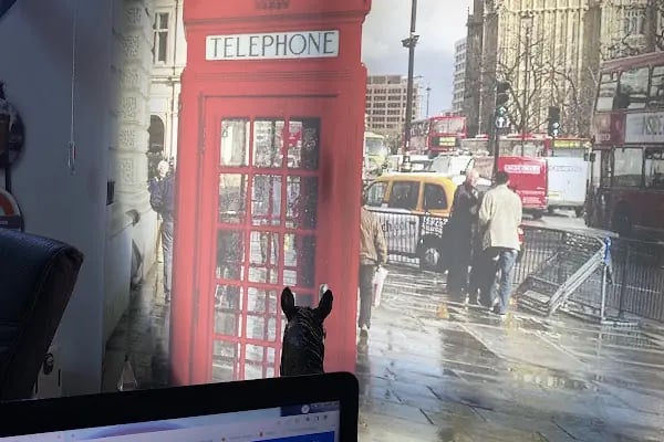 Pendik İngilizce Kursu English Of London - Resim 3