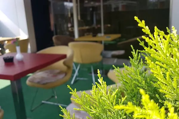 Arslanlar Konağı Hotel & Restaurant - Resim 10