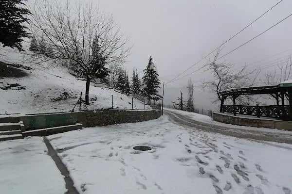 Saimbeyli Devlet Hastanesi - Resim 7