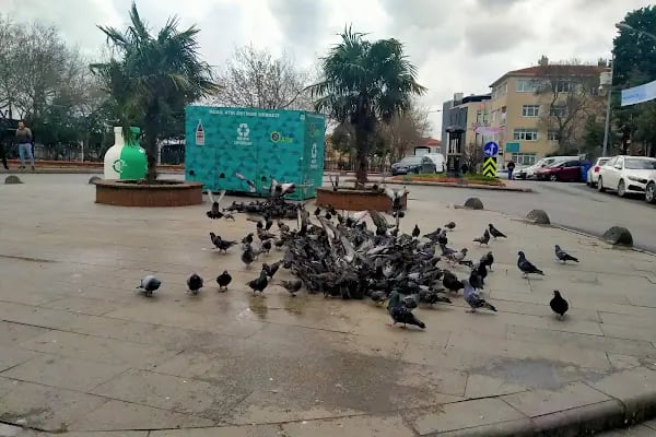 Çıksalın Meydan Taksi - Resim 13