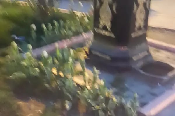Çıksalın Meydan Taksi - Resim 12