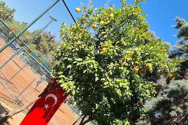 Adana Atlı Spor Kulübü - Resim 7